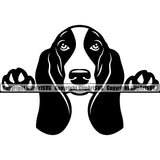 Basset Hound Peeking Animal Dog Portrait Doggy Face Cute Pup Pedigree Breed Clipart SVG