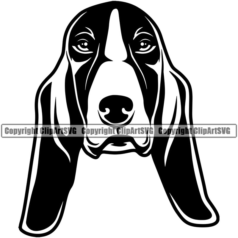 Basset Hound Head Animal Dog Doggy Face Cute Pup Pedigree Puppy Breed Clipart SVG