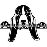 Animal Basset Hound Dog Portrait Doggy Face Cute Pup Pedigree Breed k9 Clipart SVG