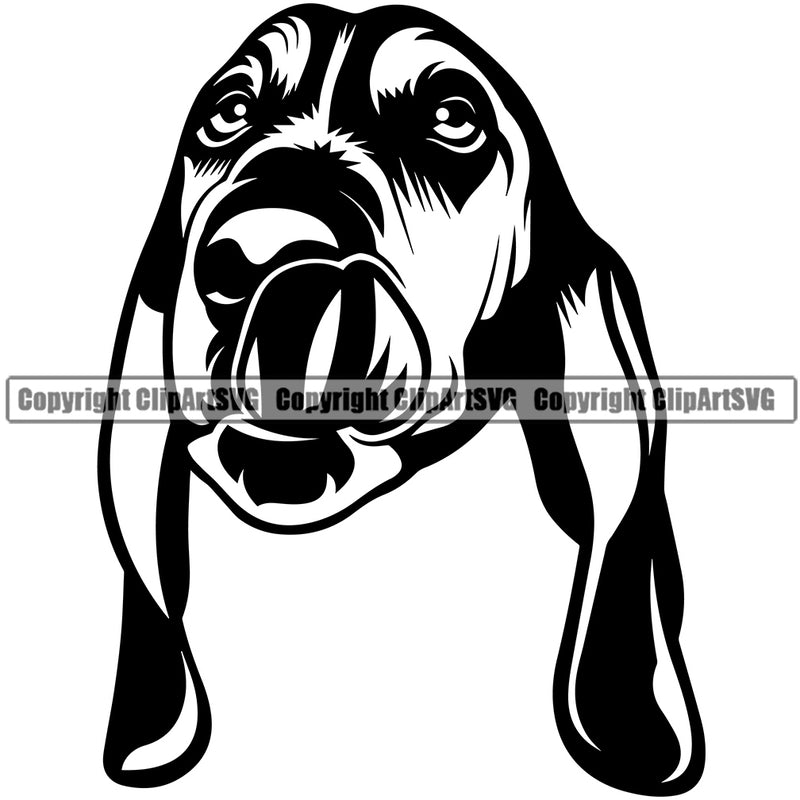Basset Hound Dog Face Animal Portrait Doggy Face Cute Cute Pup Breed Design Clipart SVG