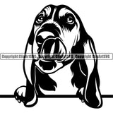 Peeking Basset Hound Portrait Doggy Face Cute Pup Pedigree Breed Vector Logo Clipart SVG