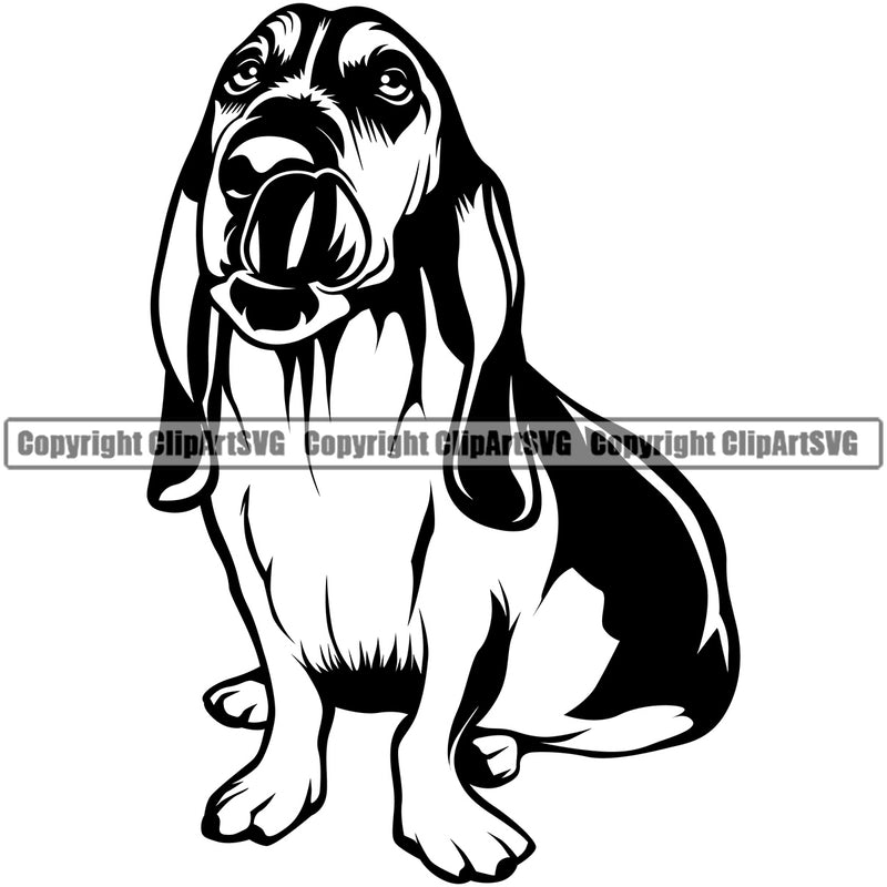 Basset Hound Dog Sitting Animal Portrait Doggy Face Cute Pup Puppy Design k9 Vector Clipart SVG