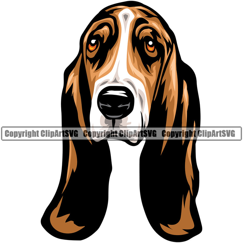 Head Color Basset Hound Portrait Doggy Face Cute Pup Pedigree Breed Dog Clipart SVG