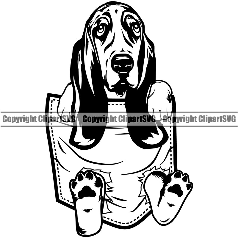 Basset Hound Dog Hanging From Shirt Pocket Animal Portrait Doggy Face Cute Pedigree Breed Clipart SVG