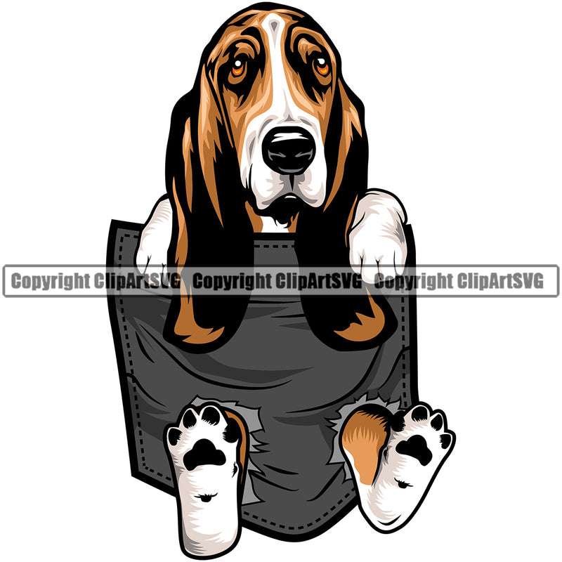Basset Hound Dog Hanging From Shirt Pocket Cute Body Dog Animal Portrait Doggy Pedigree Breed Clipart SVG
