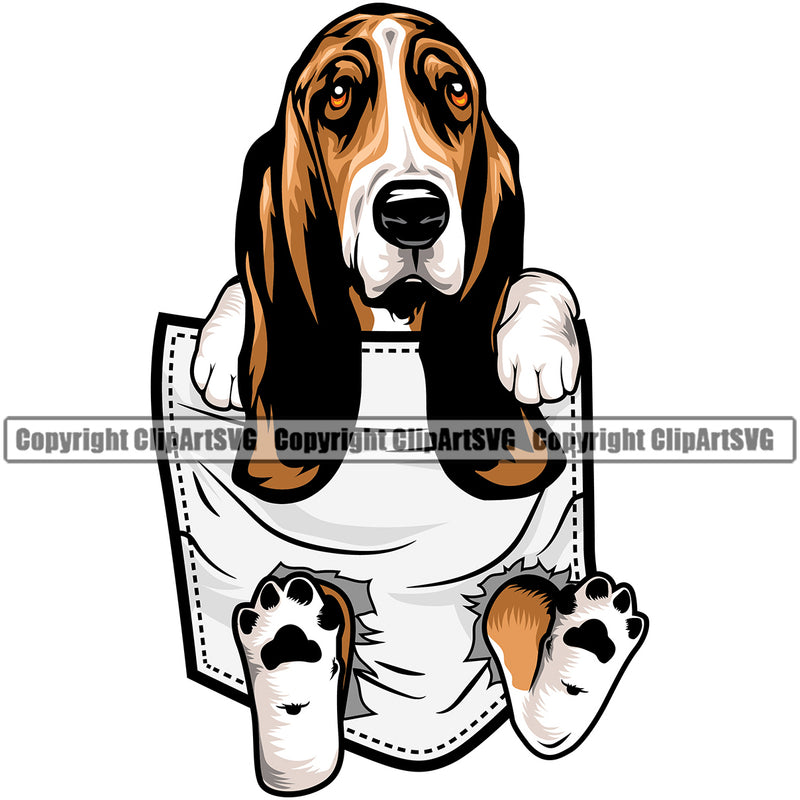 Basset Hound Dog Hanging From Shirt Pocket Animal Portrait Doggy Face Cute Pup Pedigree Breed Clipart SVG