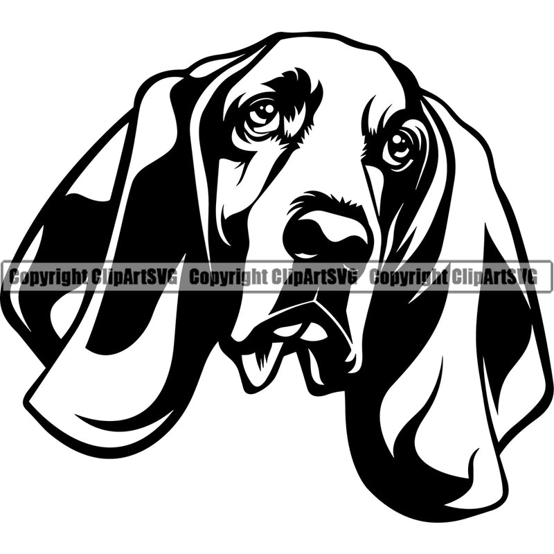 Basset Hound Dog Head Animal Portrait Doggy Face Cute Pup Pedigree Breed Clipart SVG