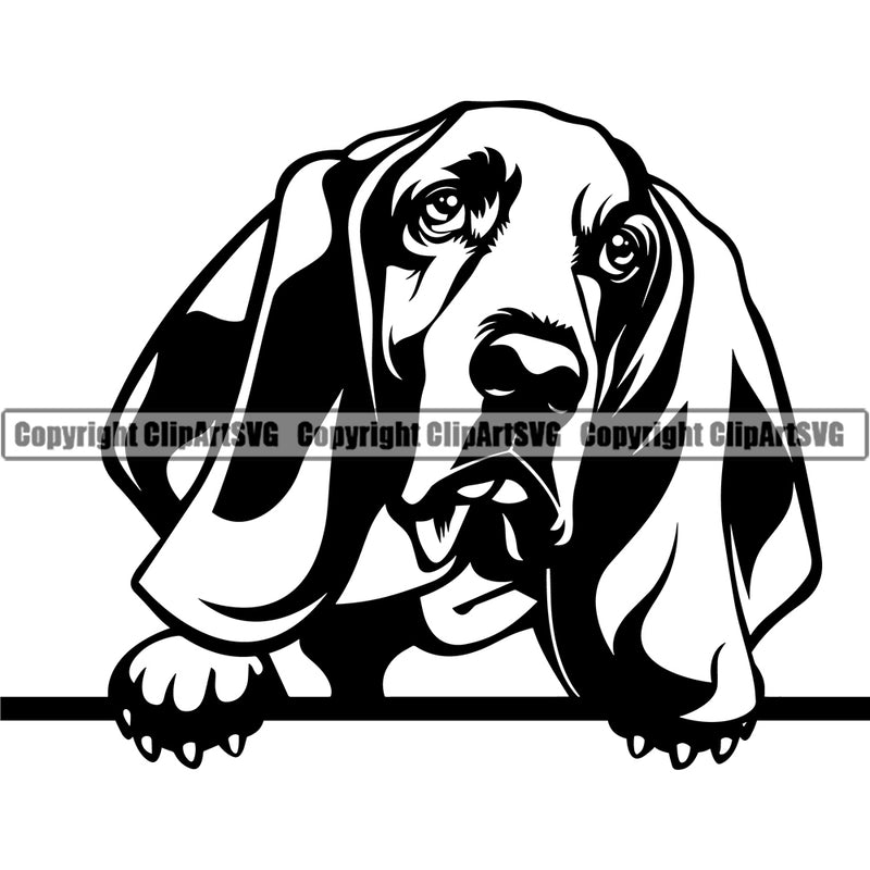 Basset Hound Animal Dog Portrait Doggy Face Cute Pup Pedigree Vector Clipart SVG