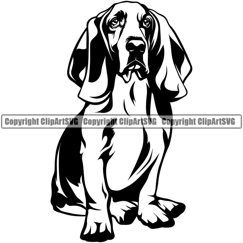 Basset Hound Dog Sitting Animal Portrait Doggy Face Cute Pup Pedigree Breed Clipart SVG