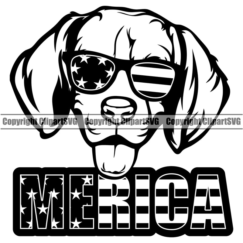 Beagle Dog Wearing Sunglasses With Merica Text Portrait Doggy Face Cute Pup Pedigree Breed Clipart SVG