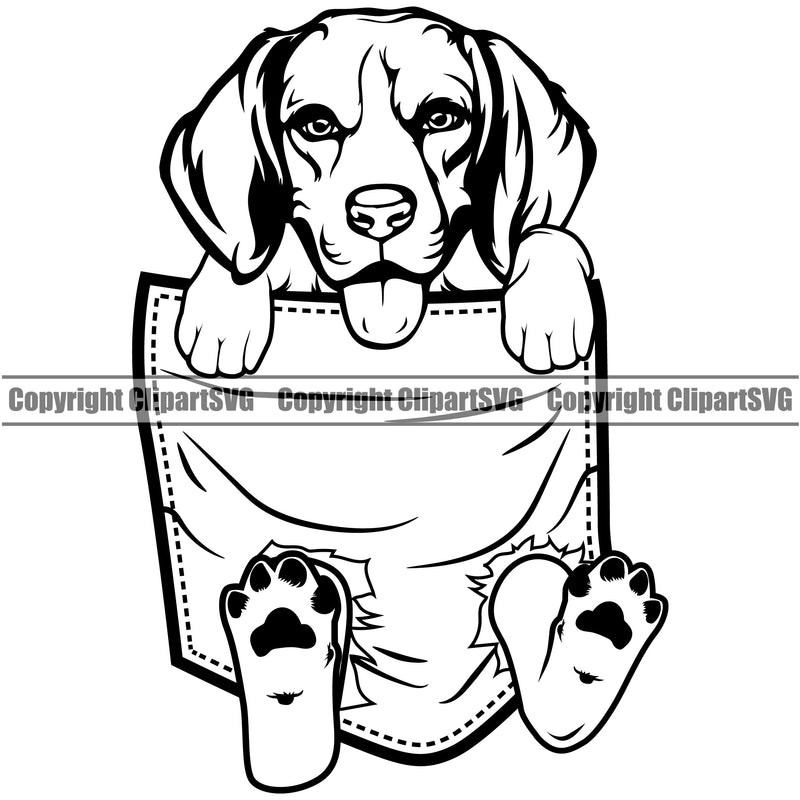 Beagle Dog Hanging From Shirt Pocket Animal Portrait Doggy Face Cute Canine Pedigree Breed Clipart SVG