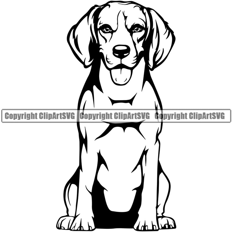 Beagle Dog Sitting Puppy Animal Portrait Doggy Face Cute Pup Pedigree Vector Clipart SVG