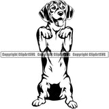 Beagle Begging Dog Animal Portrait Doggy Face Cute Pup Pedigree Breed Canine Clipart SVG