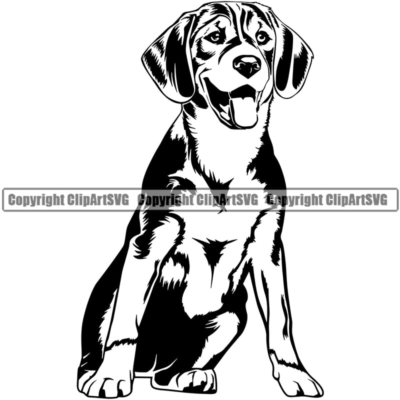 Sitting Beagle Dog Animal Portrait Doggy Face Canine K-9 Cute Pup Pedigree Breed Clipart SVG
