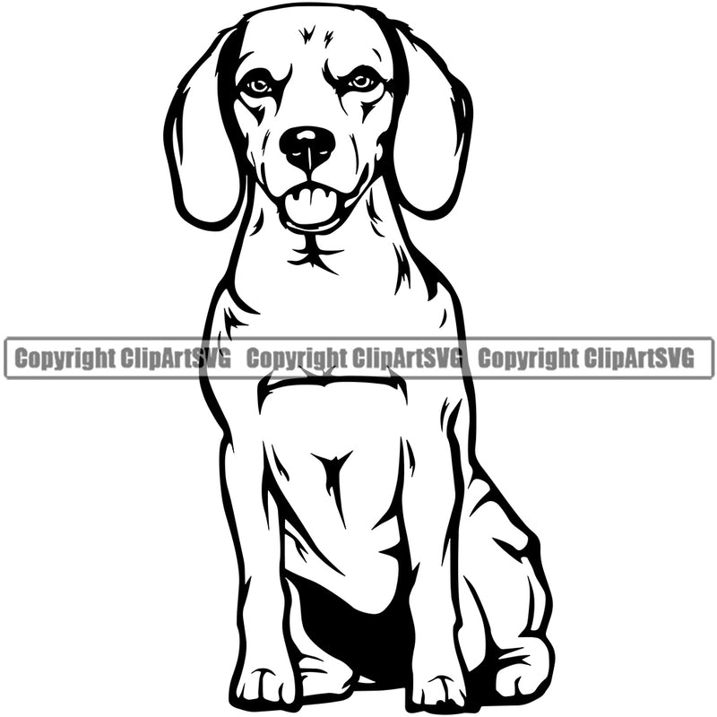 Sitting Beagle Dog Animal Portrait Doggy Face Cute Pup Pedigree Breed Clipart SVG