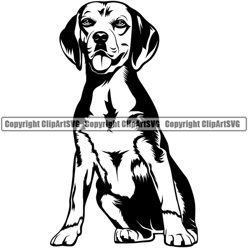 Beagle Sitting Dog Animal Portrait Doggy Cute Pup Pedigree Breed Canine K-9 Clipart SVG