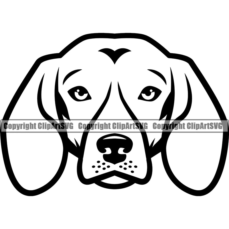 Beagle Dog Head Portrait Doggy Face Cute Pup Pedigree Animal Puppy Breed Clipart SVG