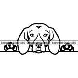 Beagle Dog Peeking Face Cute Pup Pedigree Breed Dog Animal Portrait Doggy Clipart SVG