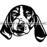 Beagle Dog Animal Head Face Portrait Doggy Face Cute Pup Pedigree Breed Clipart SVG