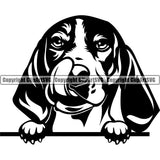 Beagle Peeking Dog Face Head Portrait Doggy Cute Pup Pedigree Breed Dog Animal Clipart SVG