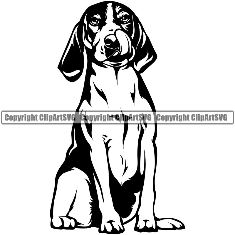 Beagle Dog Sitting Animal Portrait Doggy Face Cute Pup Pedigree Breed Clipart SVG