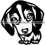 Beagle Cute Animal Body Dog Portrait Doggy Cute Pup Pedigree Breed Design Face Canine K-9 Clipart SVG