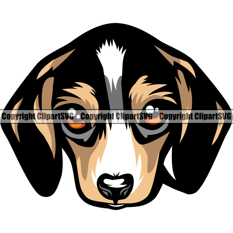 Beagle Cute Face Animal Dog Pup Pedigree Head Purebred Doggy Puppy Breed Clipart SVG