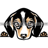 Beagle Peeking Color Animal Dog Face Canine K-9 K9 Animal Portrait Doggy Face Cute Clipart SVG