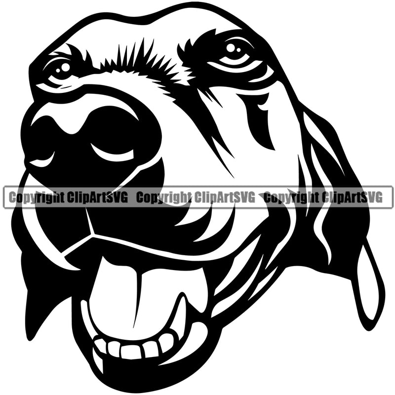 Beagle Cute Dog Head Animal Pup Pedigree Head Doggy Purebred Breed Clipart SVG