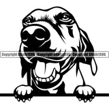 Peeking Beagle Cute Dog Face Head Animal Doggy Puppy Purebred Pup k9 Clipart SVG