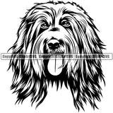 Bearded Collie Head Dog Pedigree Head Doggy Purebred Breed  Canine K-9 Clipart SVG