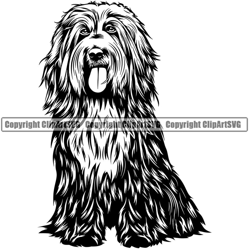 Bearded Collie Breed Dog Sitting Animal Pup Pedigree Head Doggy Purebred Clipart SVG