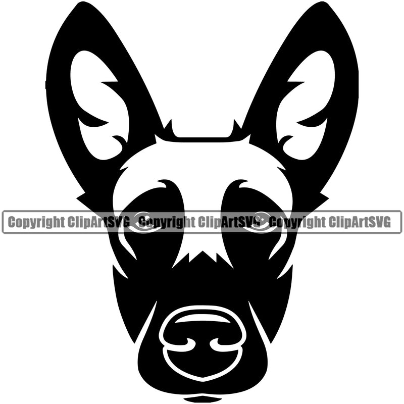 Belgian Malinois Dog Animal Pedigree Head Doggy Purebred Breed Puppy Clipart SVG