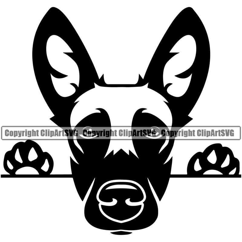 Peeking Belgian Malinois Cute Animal Dog Pup Pedigree Head Doggy Purebred Breed Clipart SVG