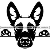 Peeking Belgian Malinois Cute Animal Dog Pup Pedigree Head Doggy Purebred Breed Clipart SVG