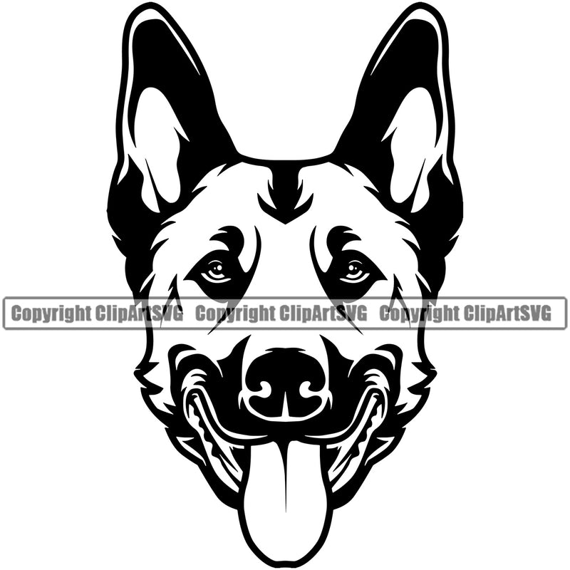Dog Head Belgian Malinois Animal Pup Pedigree Head Doggy Purebred Clipart SVG