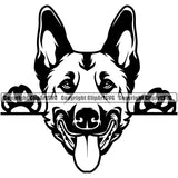 Peeking Belgian Malinois Dog Animal Pup Head Doggy Purebred Breed Pedigree Clipart SVG