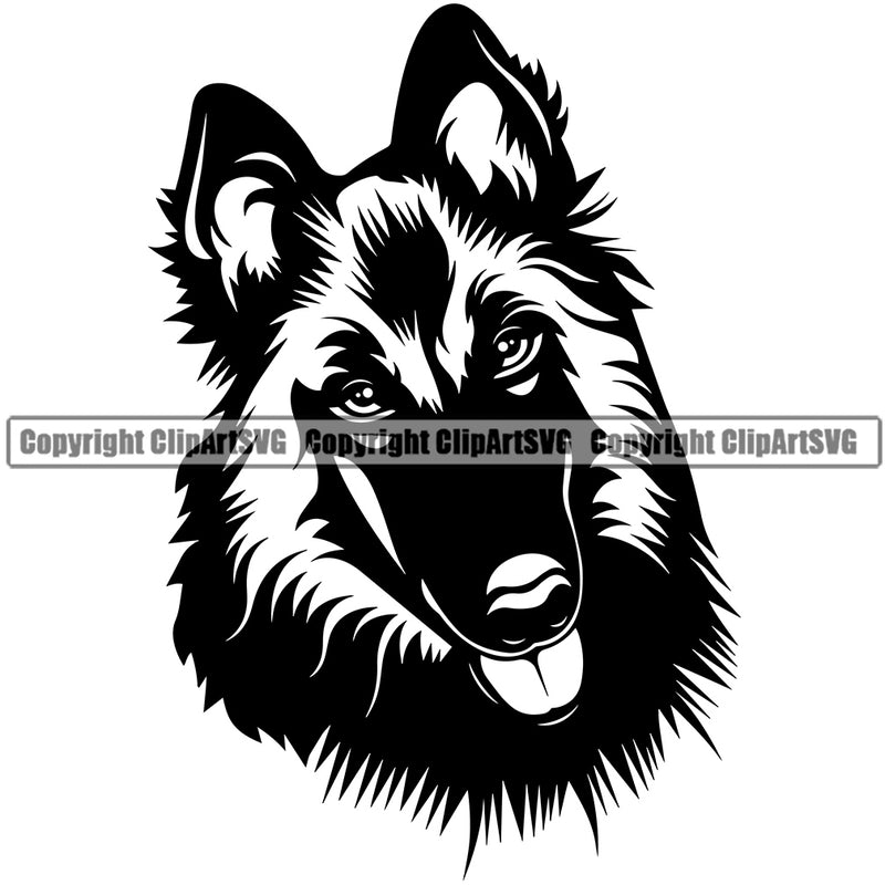 Belgian Shepherd Breed Animal Dog Puppy Head Looking Face Doggy Purebred Canine Clipart SVG