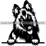 Peeking Belgian Shepherd Dog Canine K-9 K9 Animal Portrait Face Cute Head Animal Dog Clipart SVG