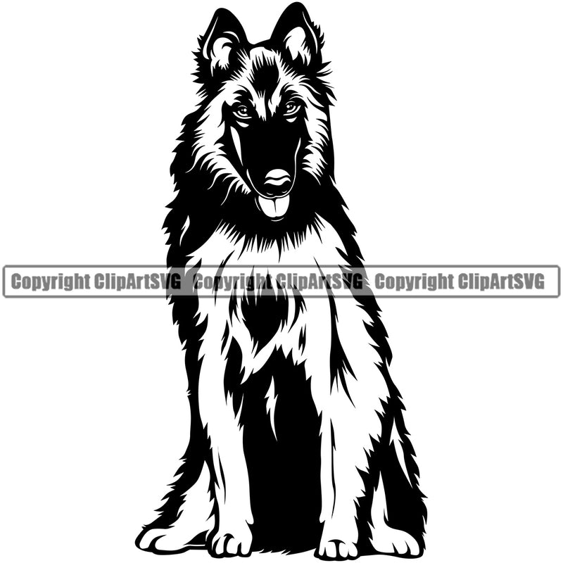Sitting Belgian Shepherd Pup Pedigree Head Doggy Purebred Breed Animal Dog Clipart SVG