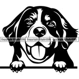 Bernese Mountain Dog Peeking Animal Pup Pedigree Head Doggy Purebred Breed Canine Clipart SVG