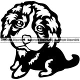 Bernese Mountain Pedigree Dog Animal Pup Doggy Purebred Puppy Breed Head Clipart SVG