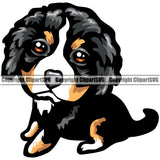 Bernese Mountain Head Color Dog Face Animal Pup Pedigree Head Doggy Purebred Clipart SVG