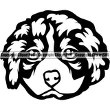 Bernese Mountain Dog Head Animal Pup Pedigree Head Doggy Purebred Canine K-9 Clipart SVG