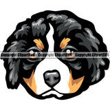 Bernese Mountain Color Head Dog Pup Pedigree Head Doggy Purebred Breed Animal Clipart SVG