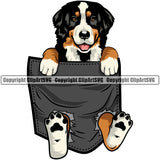 Bernese Mountain Dog Hanging From Shirt Pocket Doggy Purebred Breed Dog Animal Pup Pedigree Clipart SVG