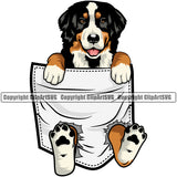 Bernese Mountain Dog Hanging From Shirt Pocket Color Pedigree Head Doggy Purebred Breed Canine Clipart SVG