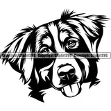 Bernese Mountain Peeking Dog Animal Breed Pup Pedigree Canine Head Doggy Purebred Clipart SVG