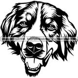 Head Of Bernese Mountain Dog Pedigree Head Doggy Purebred Breed Canine K-9 Clipart SVG