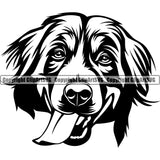 Bernese Mountain Head  Canine K-9 Dog Animal Head Doggy Purebred Breed Pedigree Clipart SVG